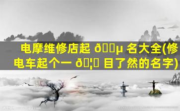 电摩维修店起 🐵 名大全(修电车起个一 🦄 目了然的名字)